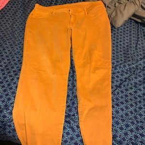 Maurices honey spice jeggings XXL